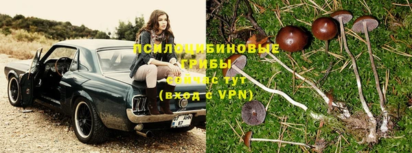 ALPHA PVP Волоколамск
